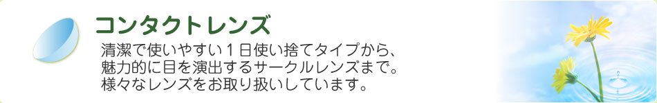 コンタクトレンズ 清潔で使いやすい１日使い捨てタイプから、魅力的に目を演出するサークルレンズまで。様々なレンズをお取り扱いしています。