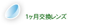 1ヶ月交換レンズ