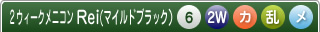 ２ウィークメニコンReiマイルドブラック乱視