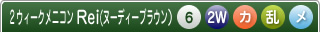 ２ウィークメニコンReiヌーディーブラウン乱視